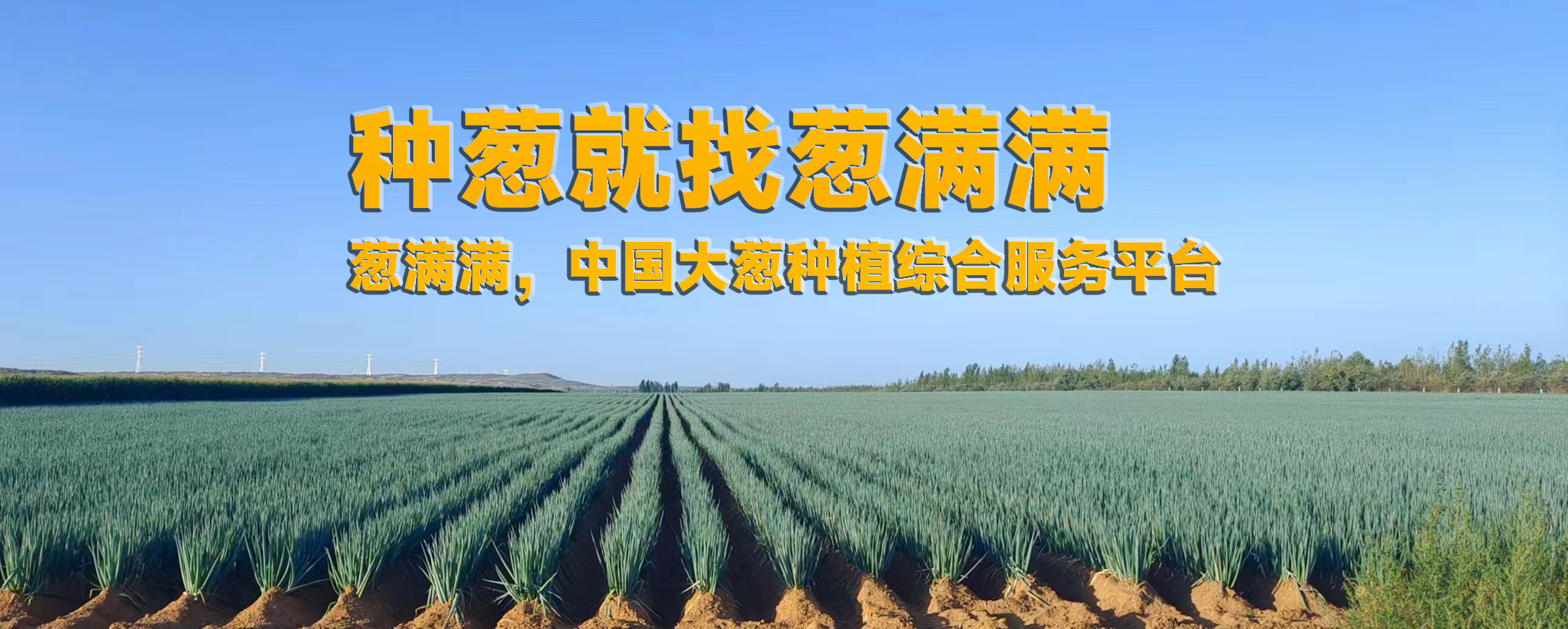 未標(biāo)題-1